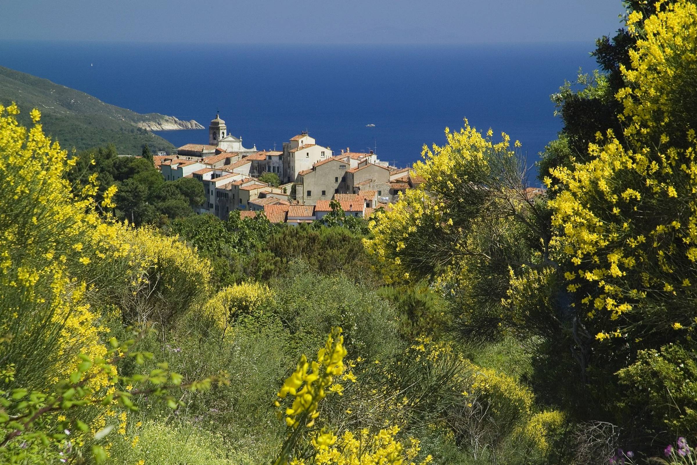 Elba Island Sant'IIario